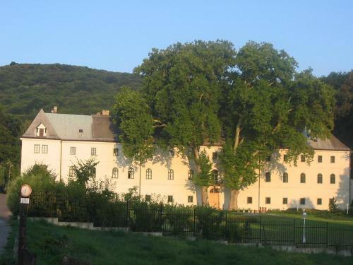 Apartments Villa Ivica