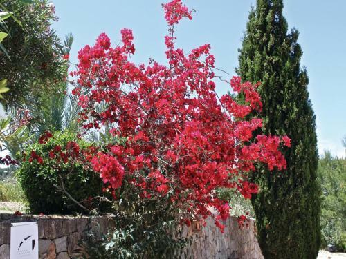 Holiday Home Santa Eulalia I