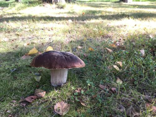 Apartamento Salonsaaren Lomakyl�