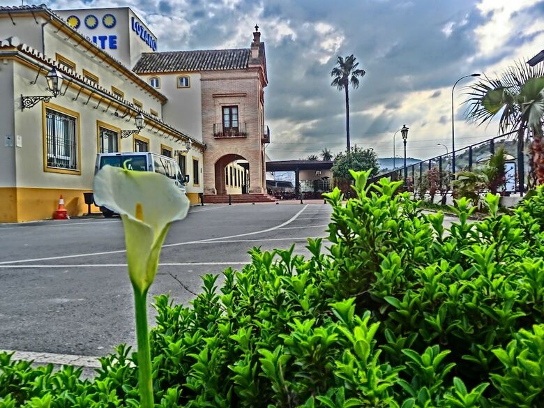 Hotel Lozano