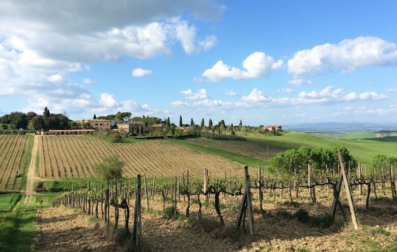 Tenuta Di Corsano