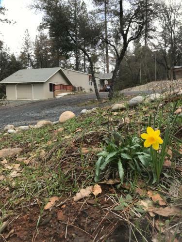 Yosemite Inn At Pine Mountain Lake