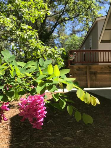 Yosemite Inn At Pine Mountain Lake