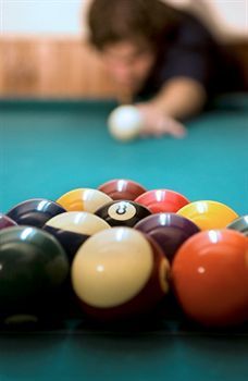 Hotel Eurosol Seia-camelo