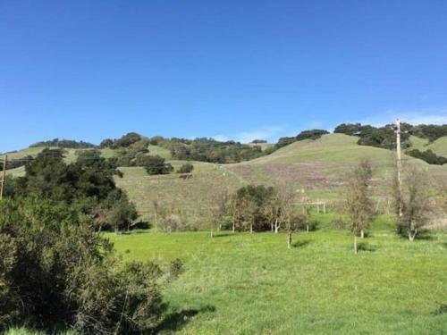 Amitabha Wine Country Cottage