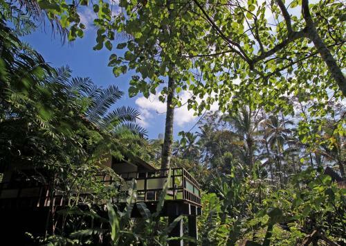 Hotel Alassari Plantation