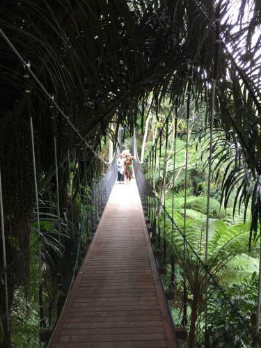 Hotel Alassari Plantation