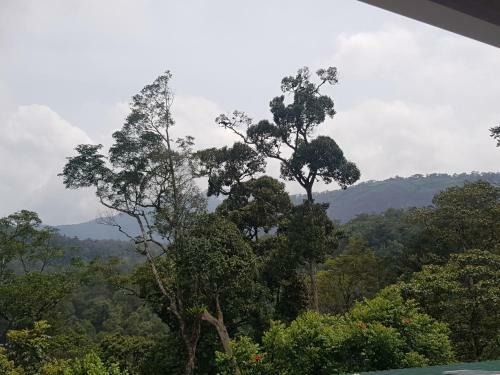 Agroturismo Dew Drops Farm Resorts