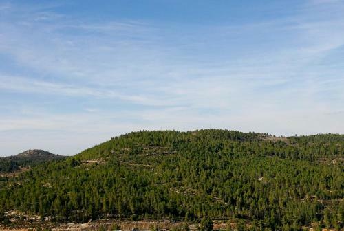 Ein Kerem Hotel