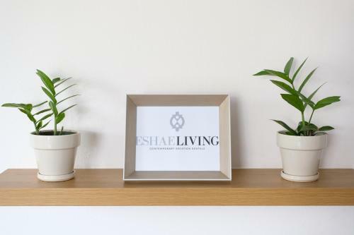 Modern Eshae Living Apartment