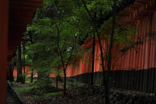 Coto Fushimi Inari ?