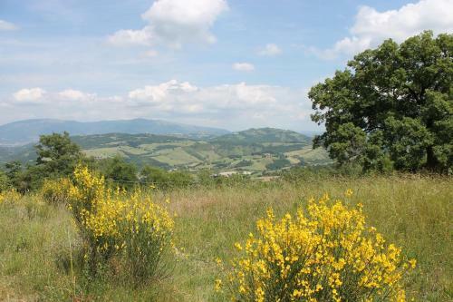 Il Palazzetto Apartment 4
