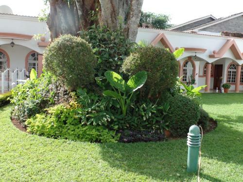 Bed & Breakfast Villa Leone Guest House, Gigiri, Nairobi