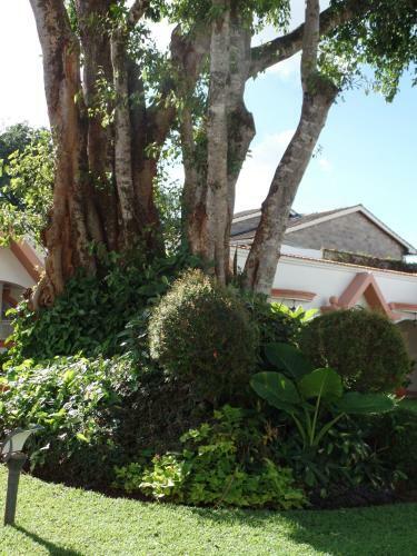 Bed & Breakfast Villa Leone Guest House, Gigiri, Nairobi