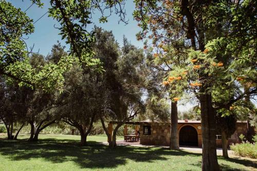 Villa Toros Pintos