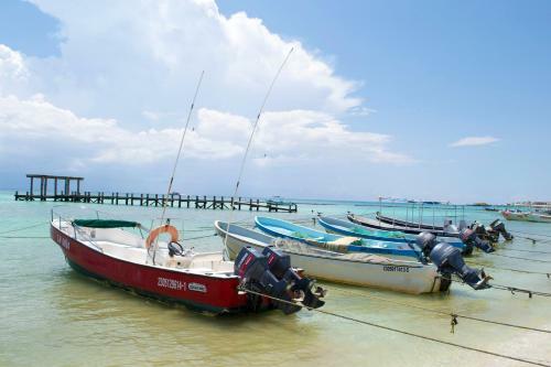 Apartamento Amazing Magia 102 Condo