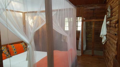 Hostal Barefoot In Barra