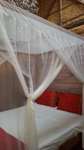 Hostal Barefoot In Barra