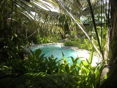 Hostal Barefoot In Barra