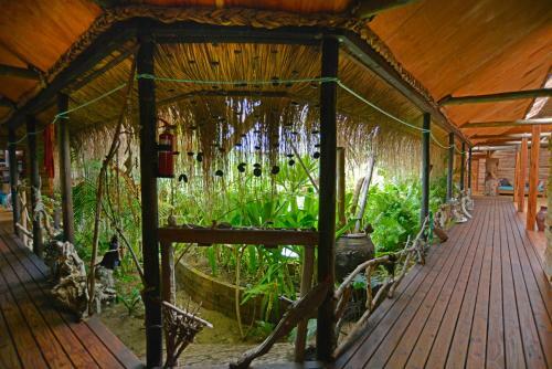 Hostal Barefoot In Barra