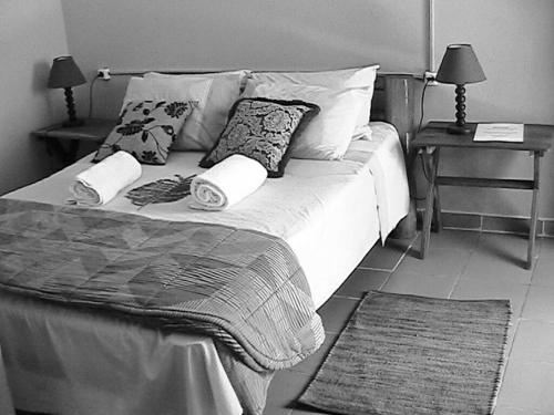 Lodge Dolphin Dhow Safaris