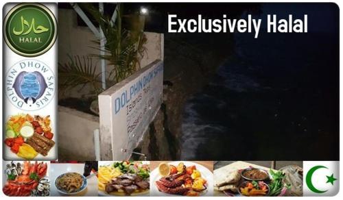 Lodge Dolphin Dhow Safaris