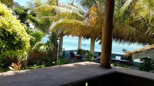 Lodge Dolphin Dhow Safaris