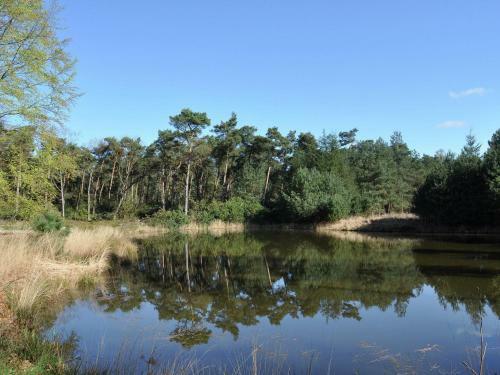 Holiday Home Vorstelijk Landhuis