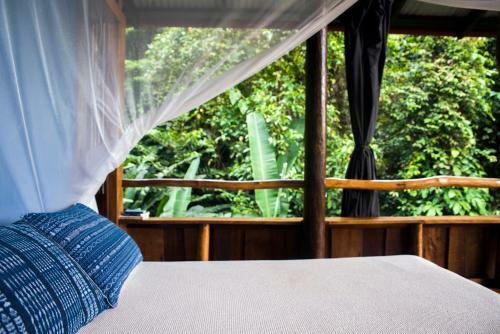 Posada La Loma Jungle Lodge And Chocolate Farm