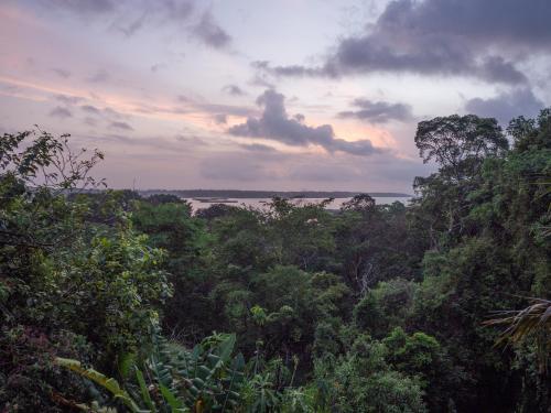 Posada La Loma Jungle Lodge And Chocolate Farm