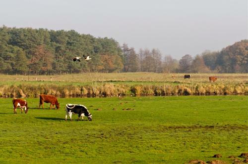 Agroturismo Erve Ziegers