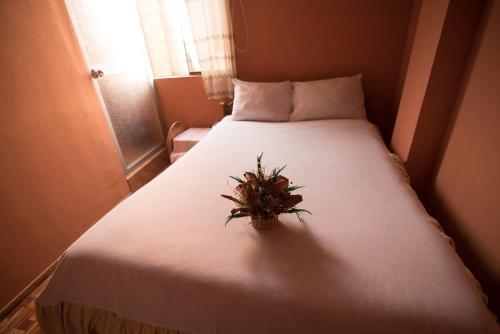 Hostal Parwa Hostel