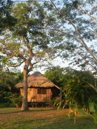 Green Diamond Amazon Lodge
