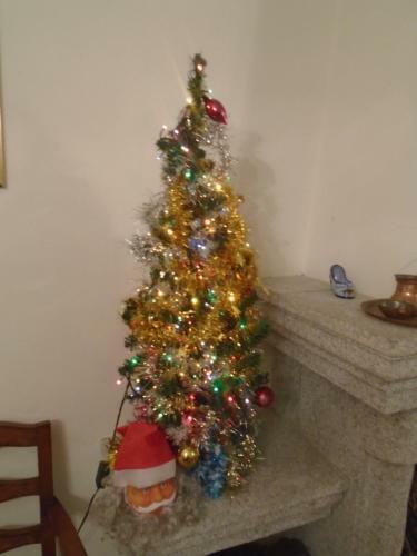 Hostal Hidranjas Guest House
