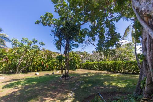 Luxury Villas At Sea Horse Ranch