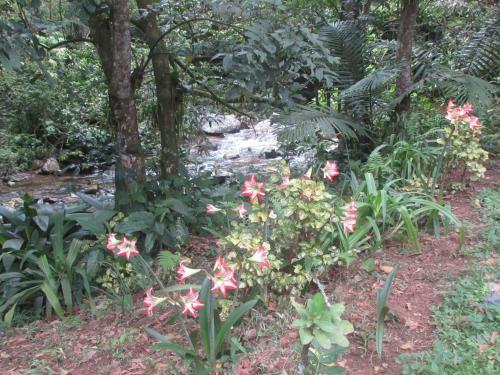 Ebano Verde Waterfall And Ecolodge