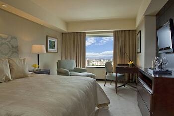 Hotel Sheraton Mendoza