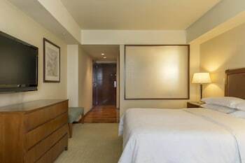 Hotel Sheraton Mendoza
