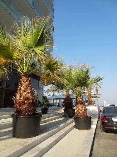 Apartamento Felicia Resort