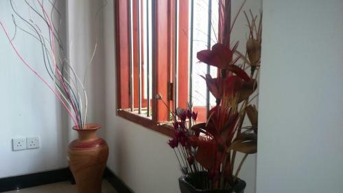 Bed & Breakfast Kavirose Holiday Home