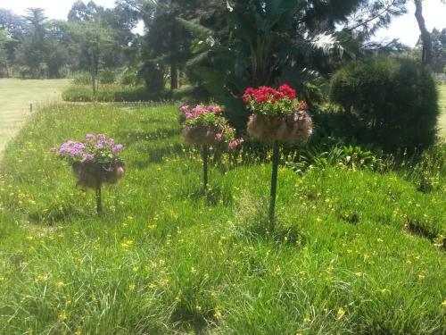 Bed & Breakfast African Flair Country Lodge