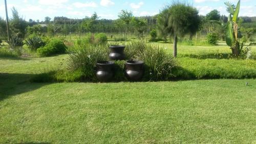 Bed & Breakfast African Flair Country Lodge