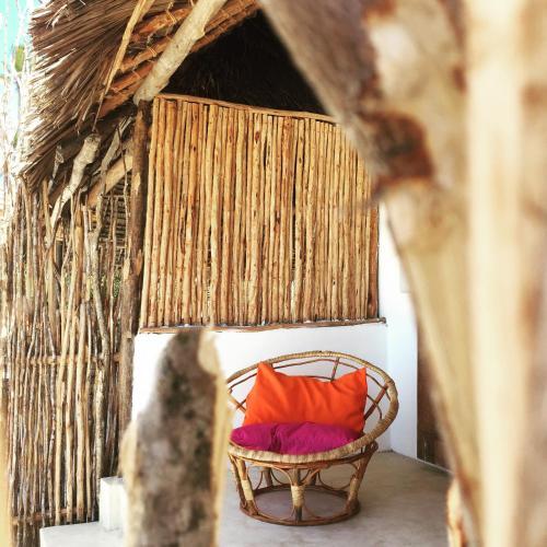 Hostal Zanzistar Guesthouse & Restaurant