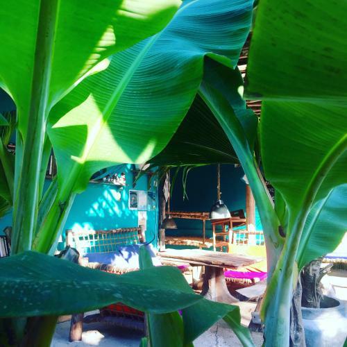 Hostal Zanzistar Guesthouse & Restaurant