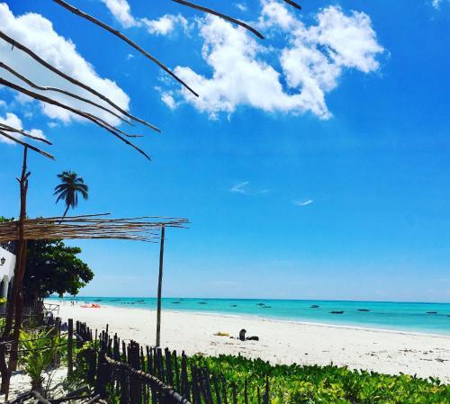 Hostal Zanzistar Guesthouse & Restaurant