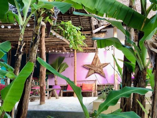 Hostal Zanzistar Guesthouse & Restaurant