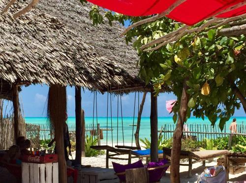Hostal Zanzistar Guesthouse & Restaurant