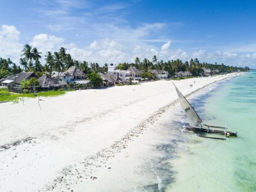 Hostal Zanzistar Guesthouse & Restaurant