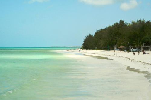 Hostal Zanzistar Guesthouse & Restaurant