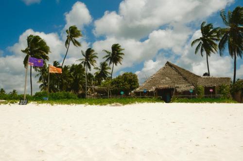Hostal Zanzistar Guesthouse & Restaurant
